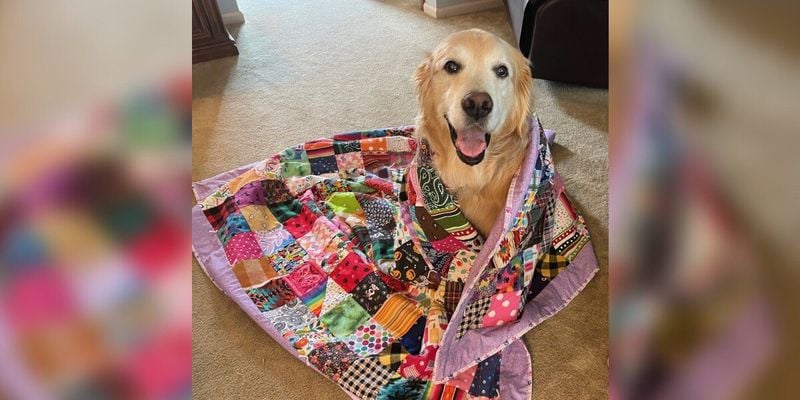 Memory Quilt