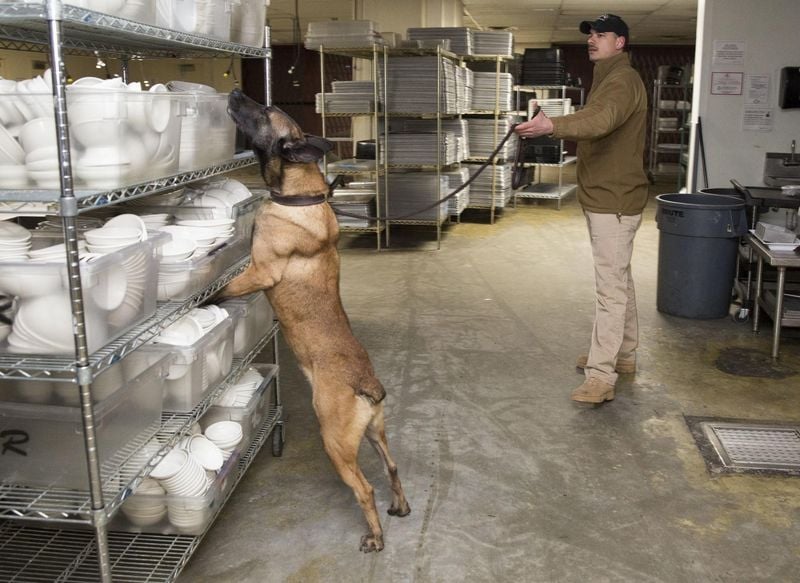 Drug Detection Operatives