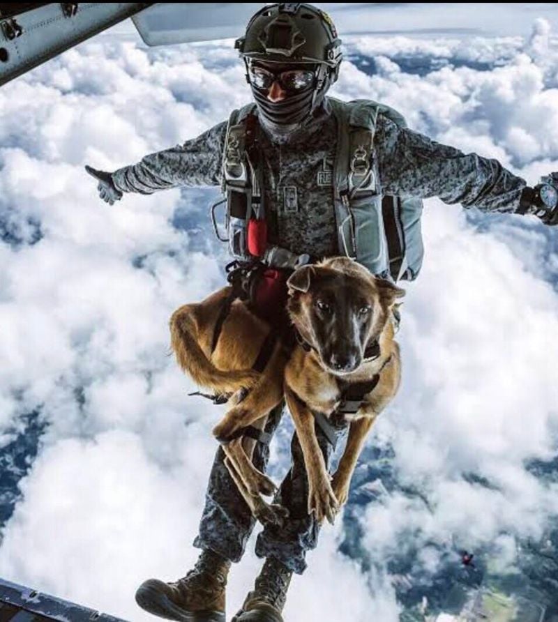 Parachuting and Rappelling Partners