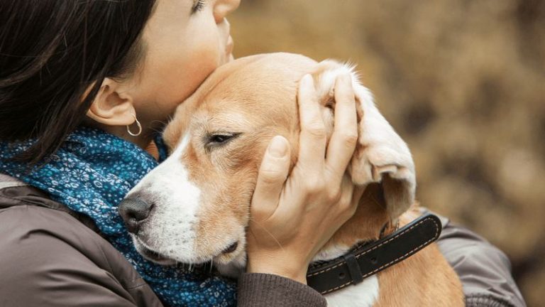 15 Warning Signs Your Dog Is Grieving Someone They Loved