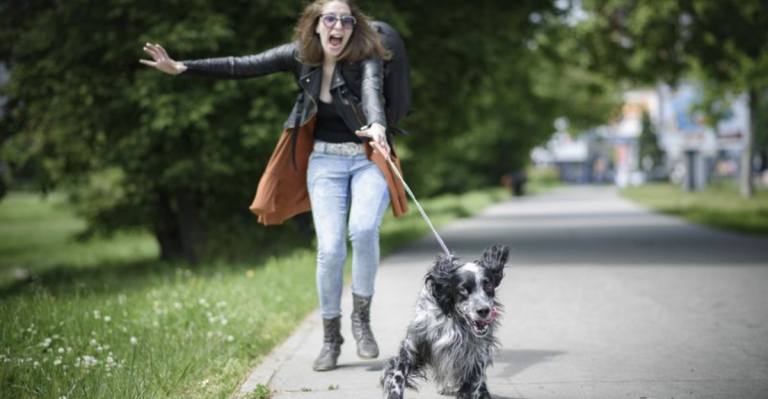 8 Signs Your Dog Wants More Exercise (And 8 That Mean You’re Tiring Them Out)