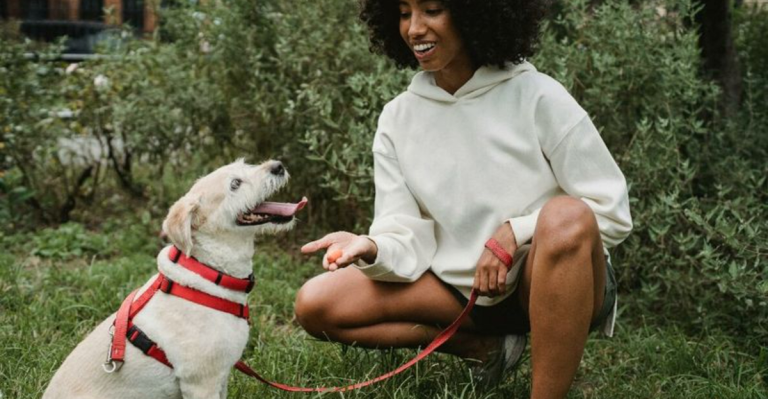 8 Words Every Dog Recognizes—And 6 That Mean Nothing to Them