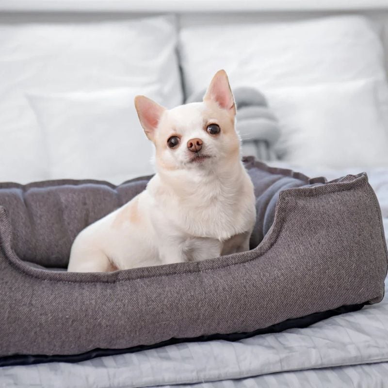 Design a Cozy Safe Space