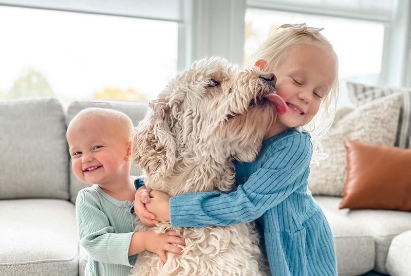 Goldendoodle: The Family-Friendly Favorite