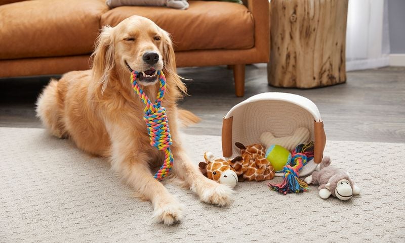 Greeting You With a Toy