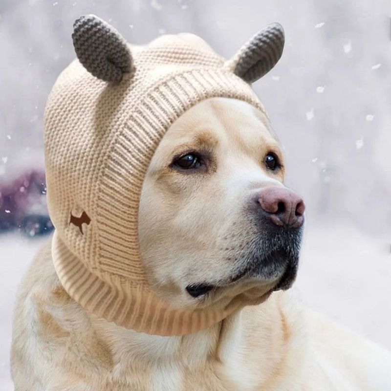 Dog Hats and Beanies