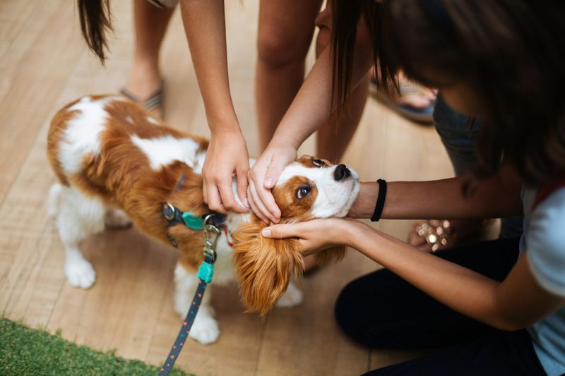 Heart-Melting Affection That Knows No Bounds