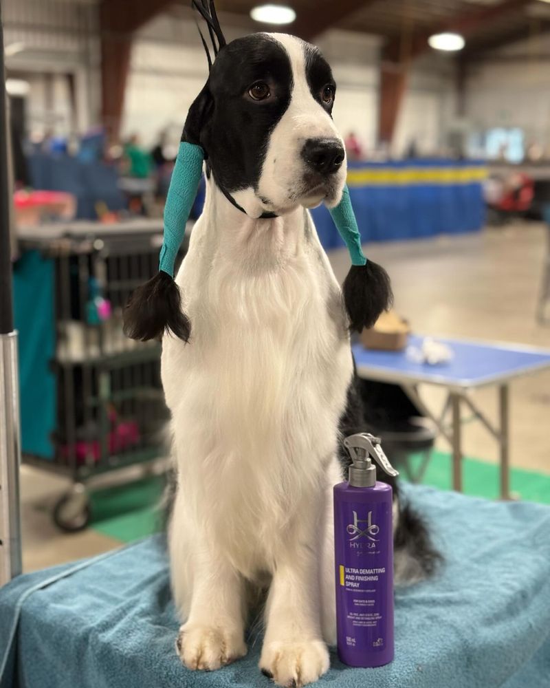 Grooming Routine