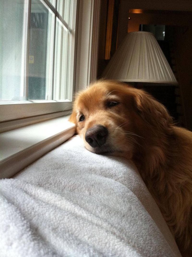 How Long You're Away