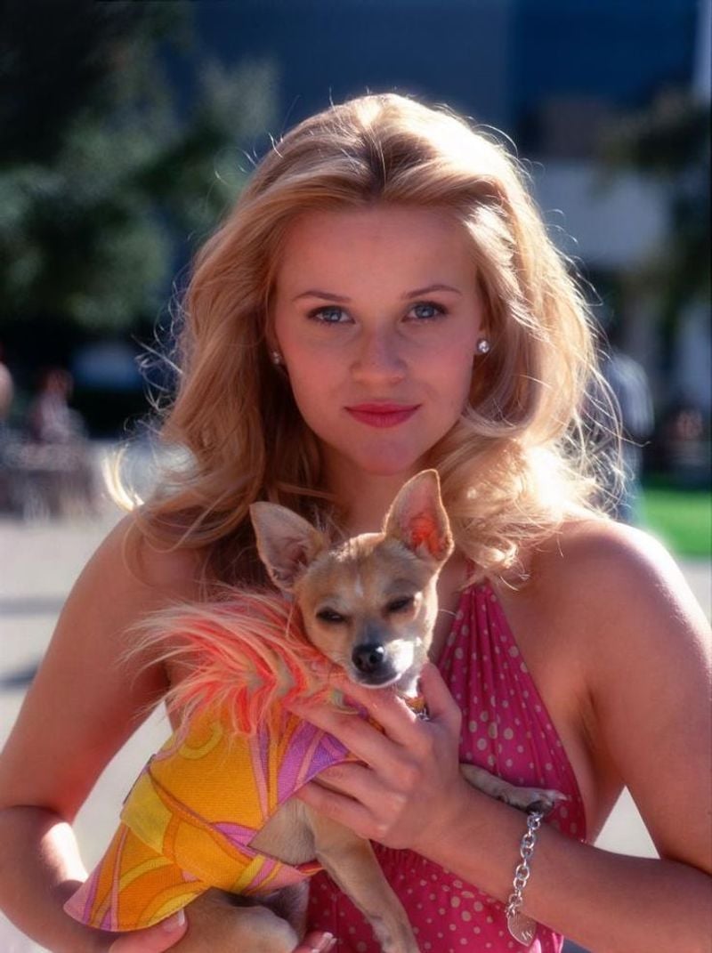 Bruiser Woods – Legally Blonde (2001)