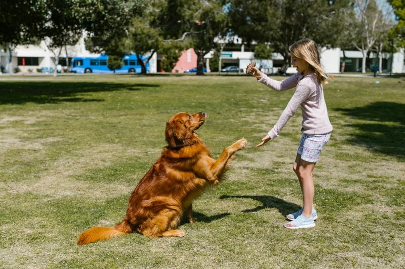 Patience During Training Sessions