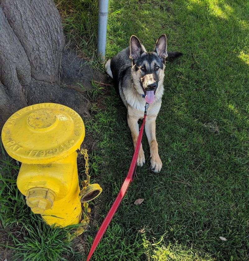 Your Schedule Suddenly Revolves Around Potty Breaks