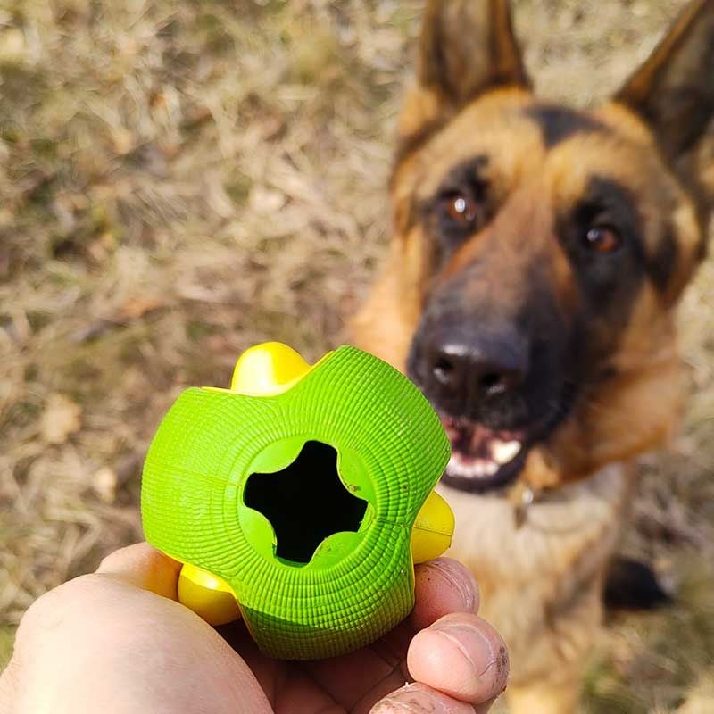 Interactive Playtime