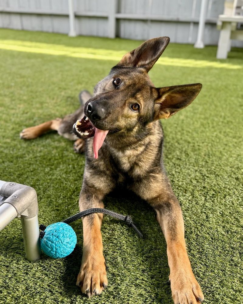 Proper Training