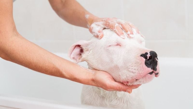 Too Many Bath Times
