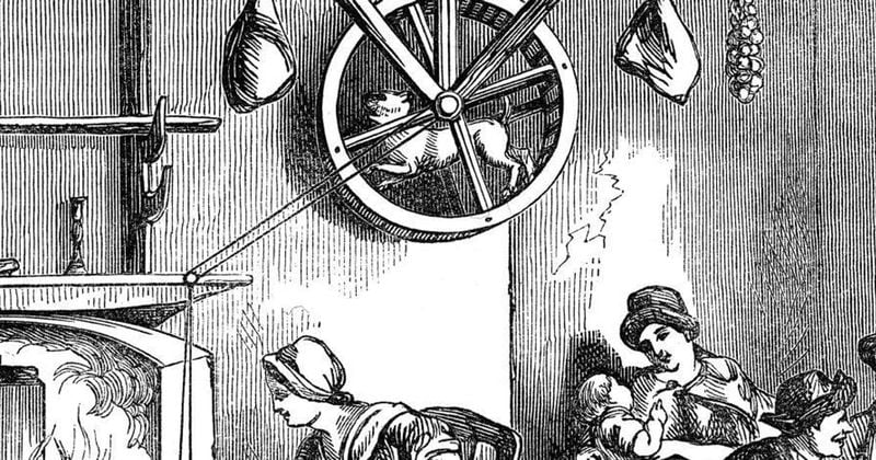 Turnspit Dog
