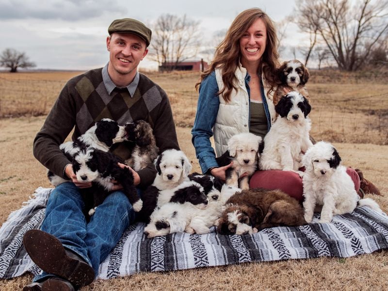 Questions to Ask a Breeder or Rescue