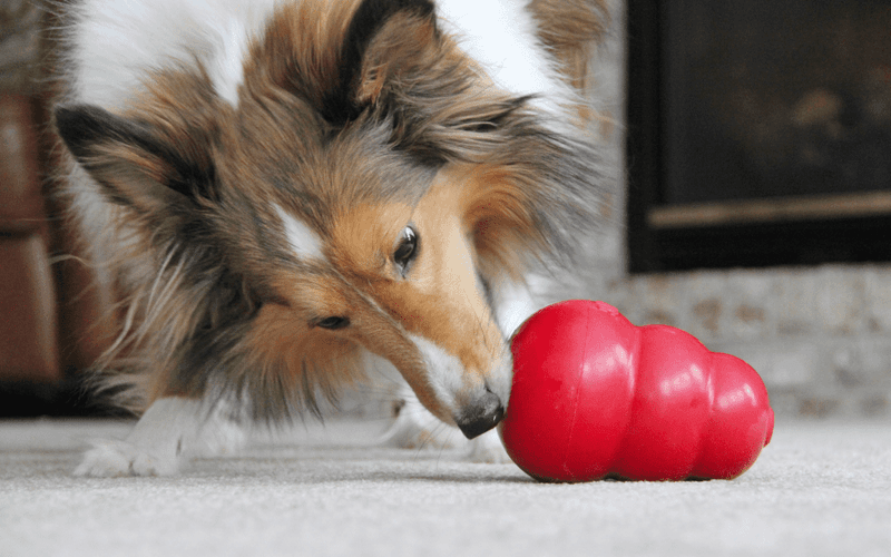 Frozen Kong Stuffed with Treats