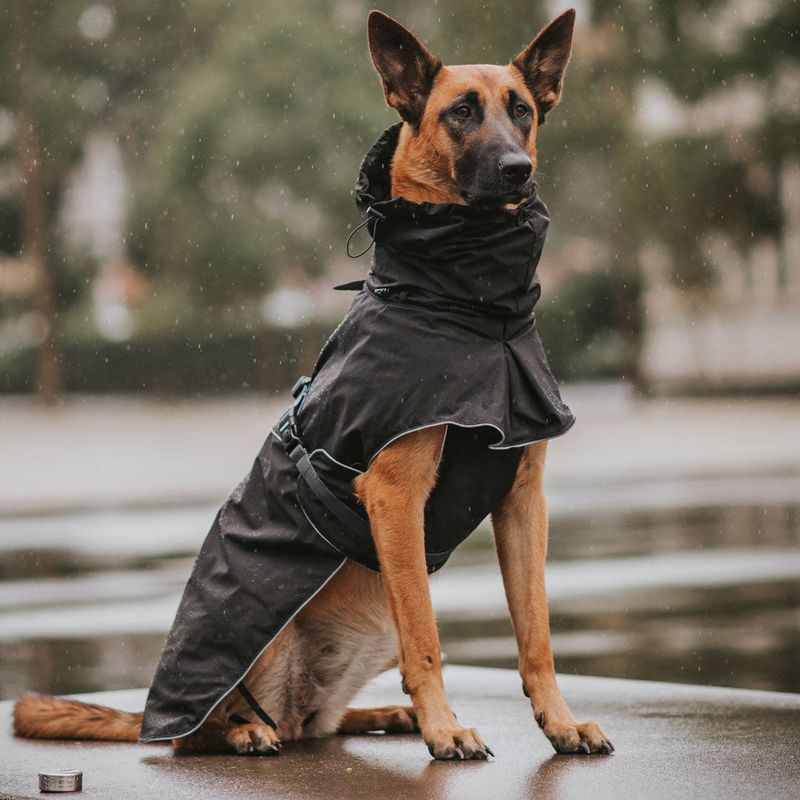 Raincoats & Winter Jackets
