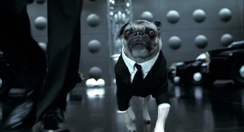 Frank the Pug (Men in Black)