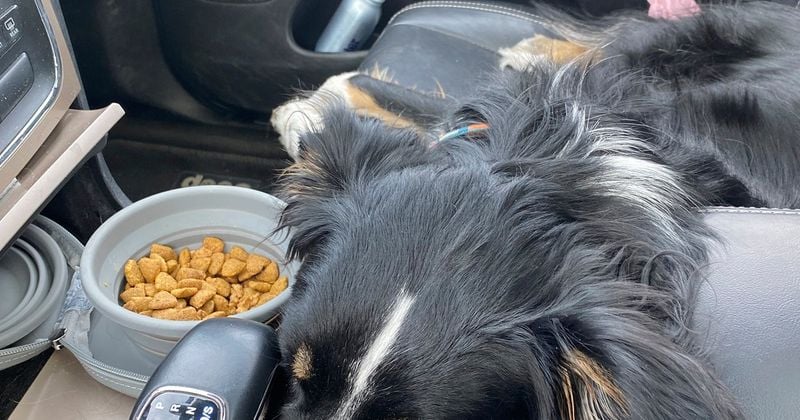 Feeding Right Before the Trip