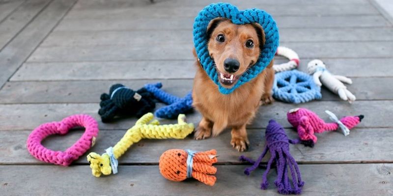 Offering Variety in Toys