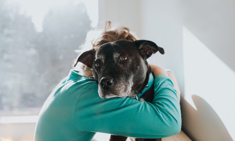 Preserve Comforting Routines