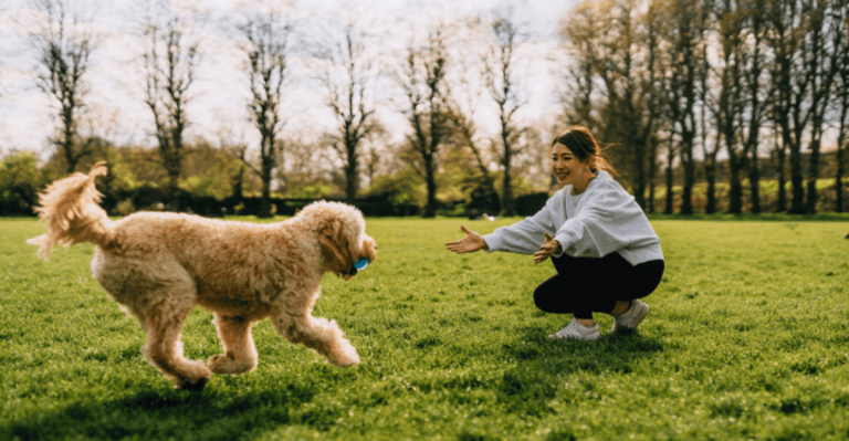 I Talked to a Pro Dog Behaviorist. Here Are His 15 Tips for Teaching the Perfect Recall.