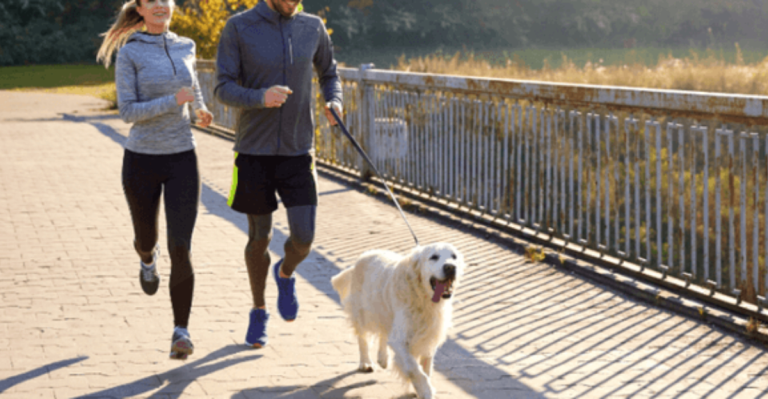 I Was Recently Looking for a Running Buddy—Here Are the 10 Dog Breeds I’d Recommend
