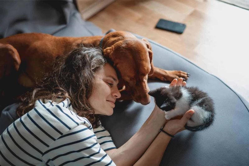 Affectionate Behavior Creates Bonds