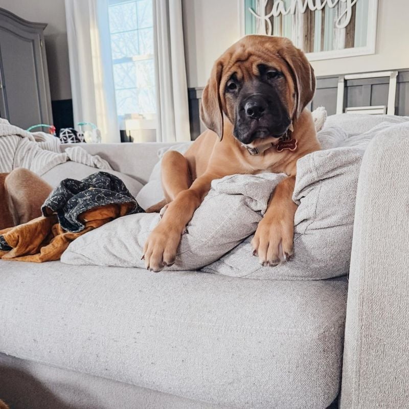 Couch Potato Exercise Needs