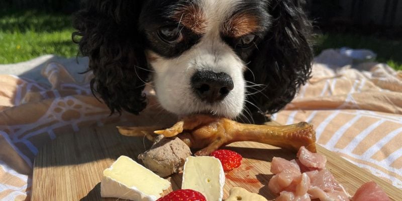 A Feast Fit for a King