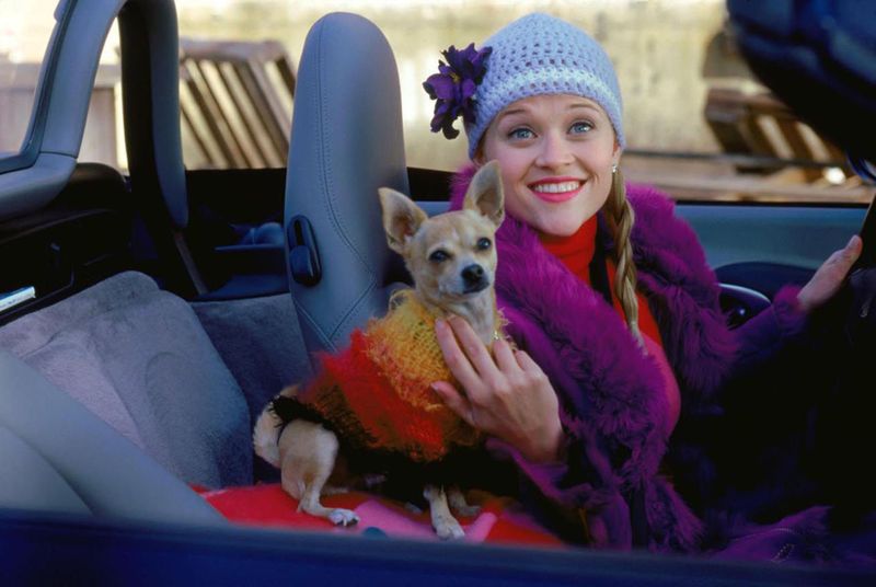 Bruiser Woods (Legally Blonde)