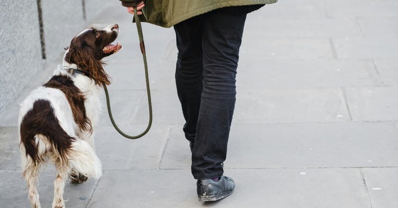 The Stop-and-Go Technique Teaches Patience
