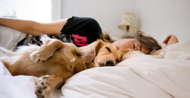 Is Your Dog Sleeping Too Much? Here’s What Science Says