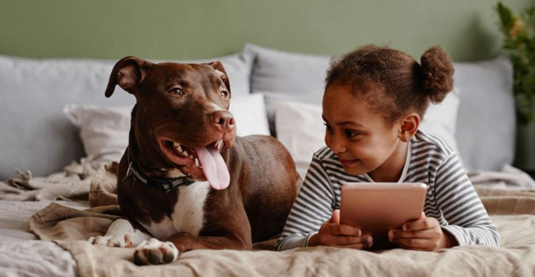I’ve Had a Pit Bull for 7 Years Now—Here’s What People Get Wrong About Them