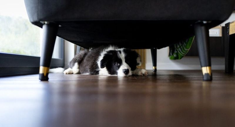 Seeking Solitude