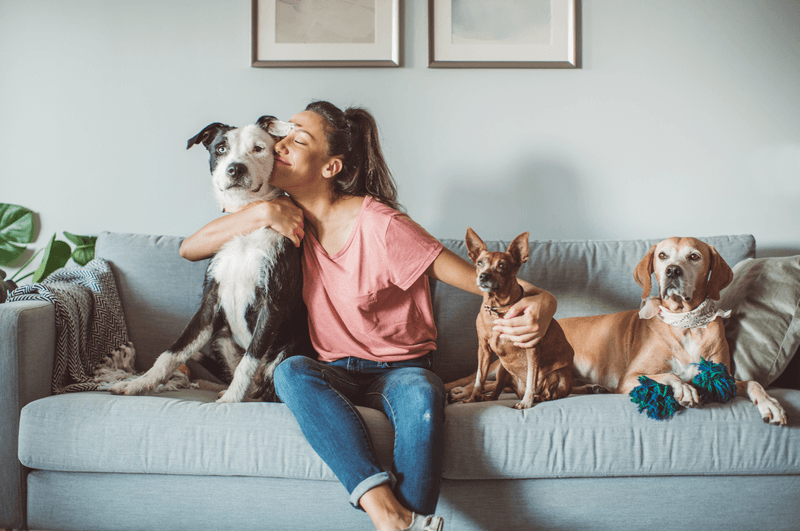 Your Other Pets May Stage a Rebellion