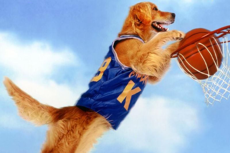 Buddy – Air Bud (1997)
