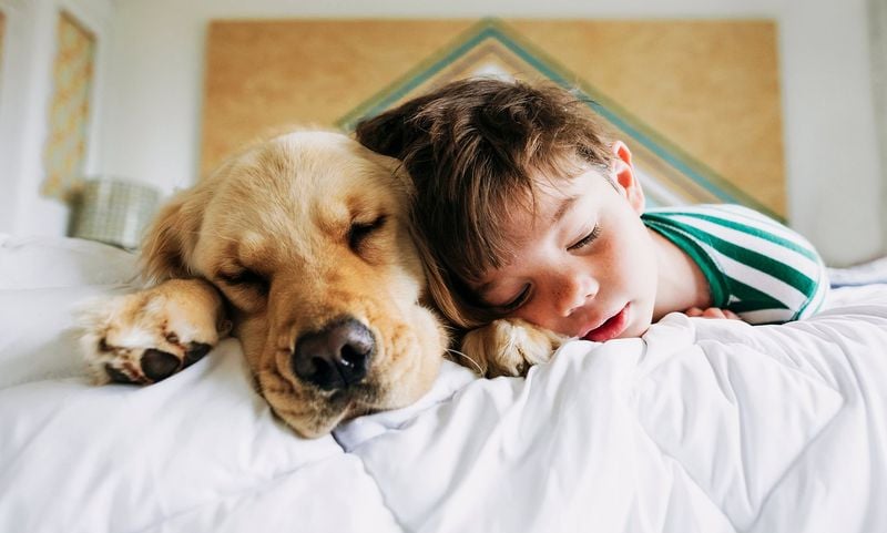 Pets and Children: What to Know Before Everyone Piles In