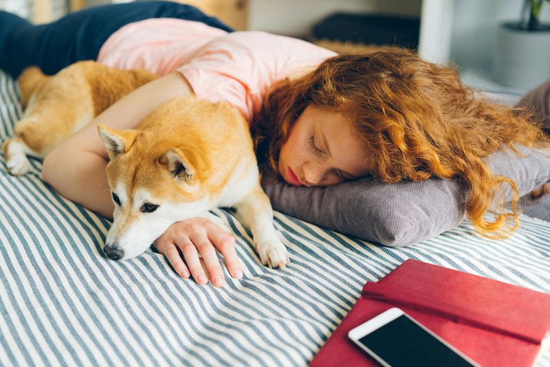 Sleep Quality and Disruptions: A Two-Way Street