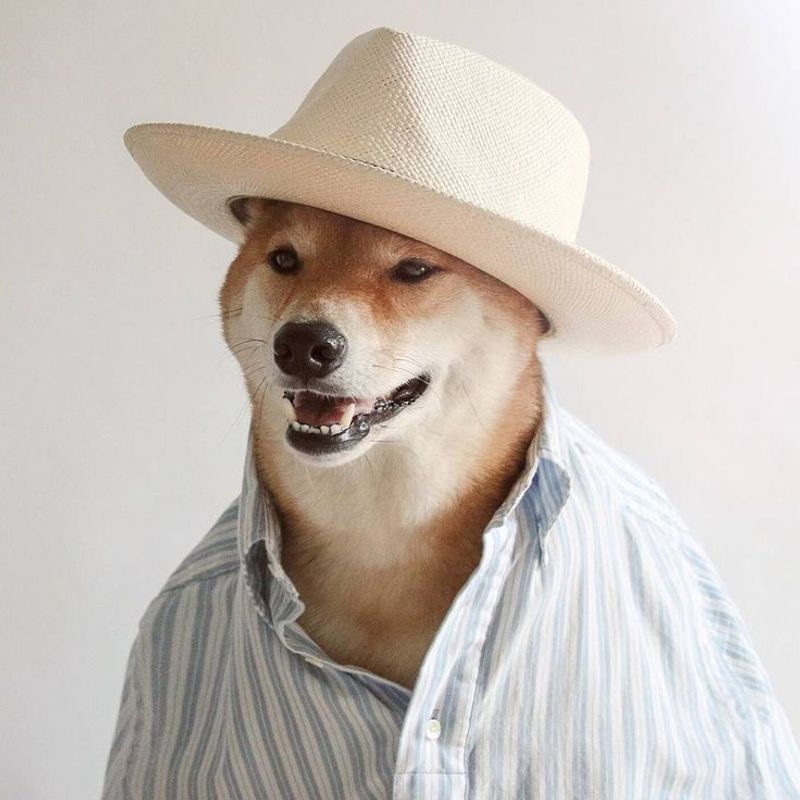 Anthropomorphism