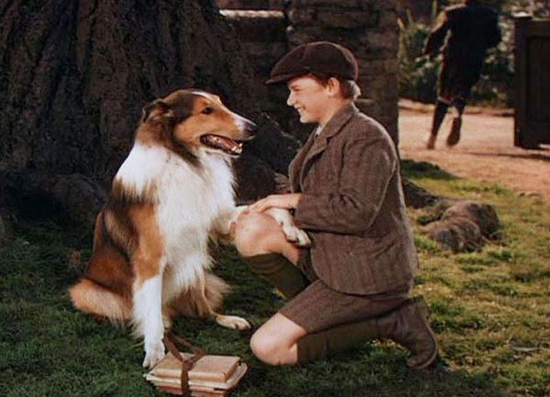 Lassie