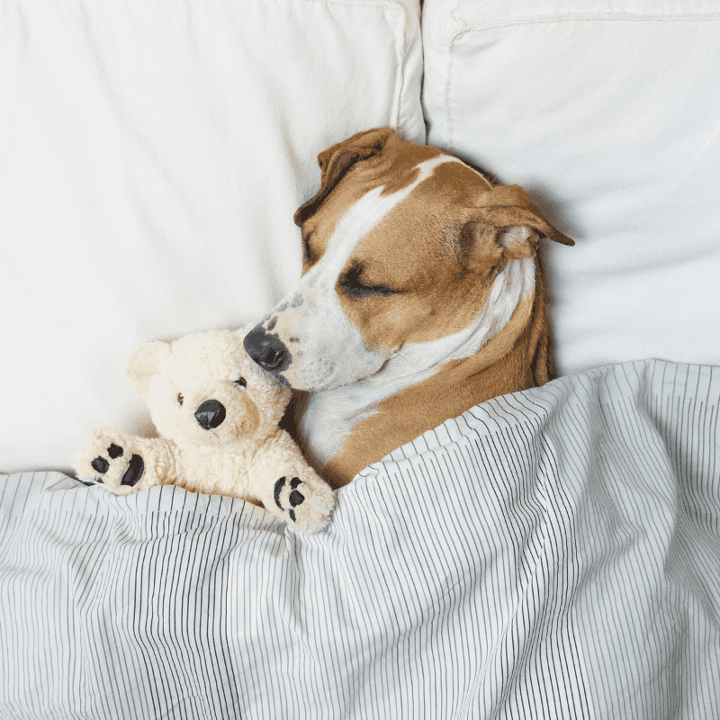 Sleeping in Your Spot