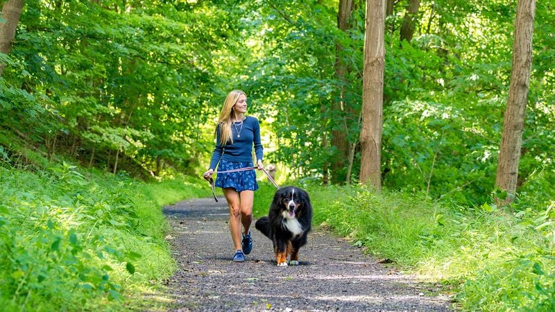 Favorite Walking Routes