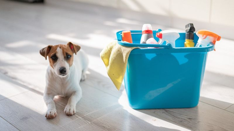 Bleach-Based Cleaners Create Chemical Distress