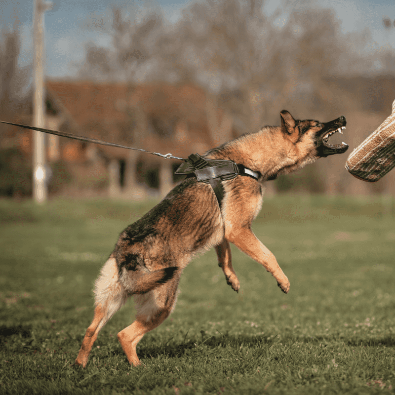 Redirect With Commands