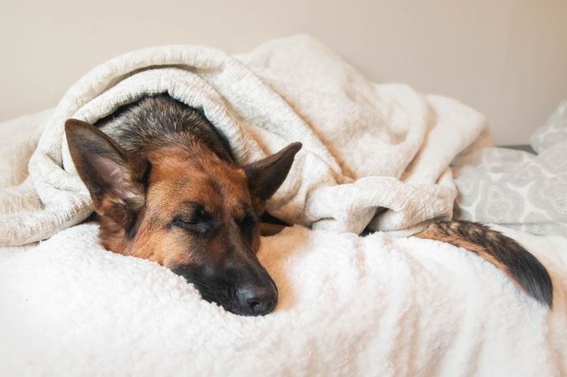 Changes in Sleeping Patterns