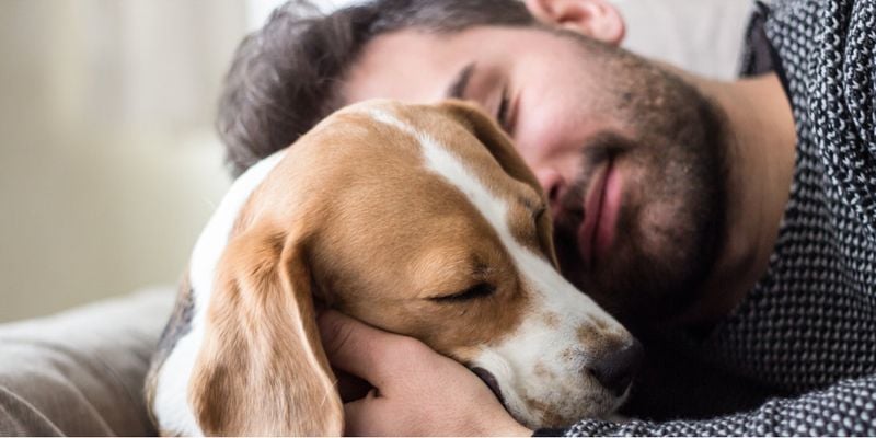 They comfort without being asked