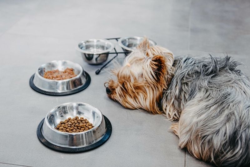 Mealtime Refusal or Overeating